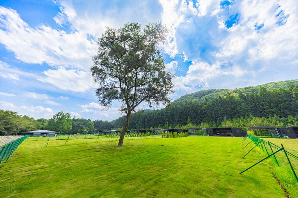 ドッグフォレスタヴィラ日光